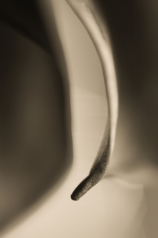 black and white abstract photos carlin felder